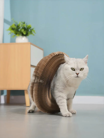 Kitten Curl Toy Foldable Magic Organ Cat Scratching Board