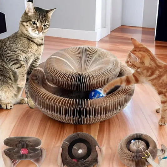 Kitten Curl Toy Foldable Magic Organ Cat Scratching Board