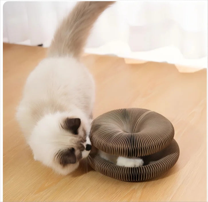 Kitten Curl Toy Foldable Magic Organ Cat Scratching Board
