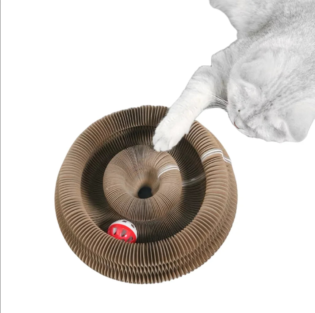 Kitten Curl Toy Foldable Magic Organ Cat Scratching Board