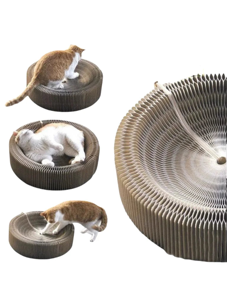 Kitten Curl Toy Foldable Magic Organ Cat Scratching Board