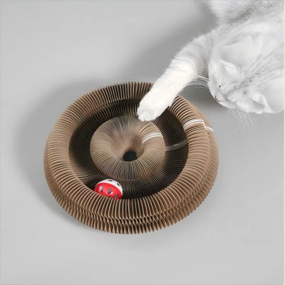 Kitten Curl Toy Foldable Magic Organ Cat Scratching Board