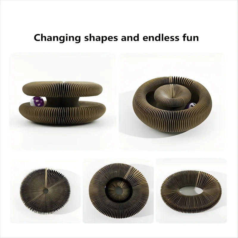Kitten Curl Toy Foldable Magic Organ Cat Scratching Board