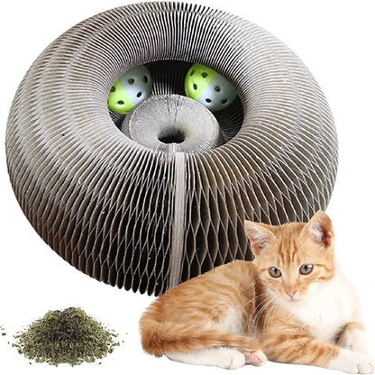 Kitten Curl Toy Foldable Magic Organ Cat Scratching Board
