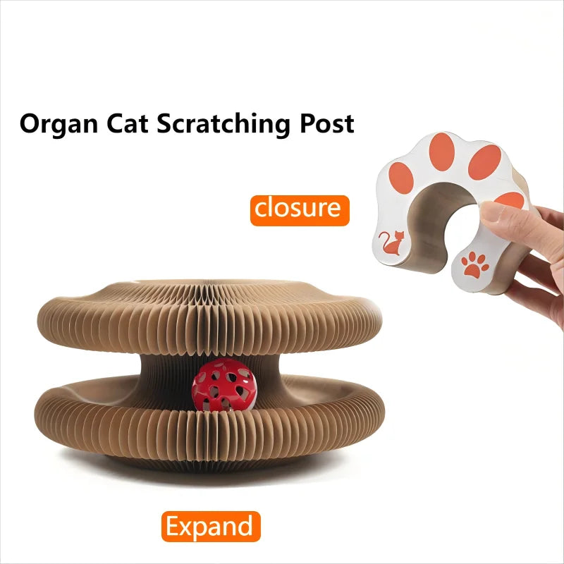 Kitten Curl Toy Foldable Magic Organ Cat Scratching Board