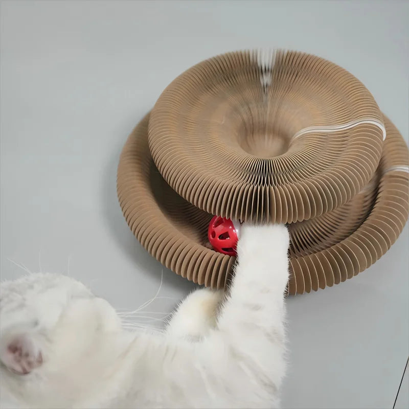 Kitten Curl Toy Foldable Magic Organ Cat Scratching Board